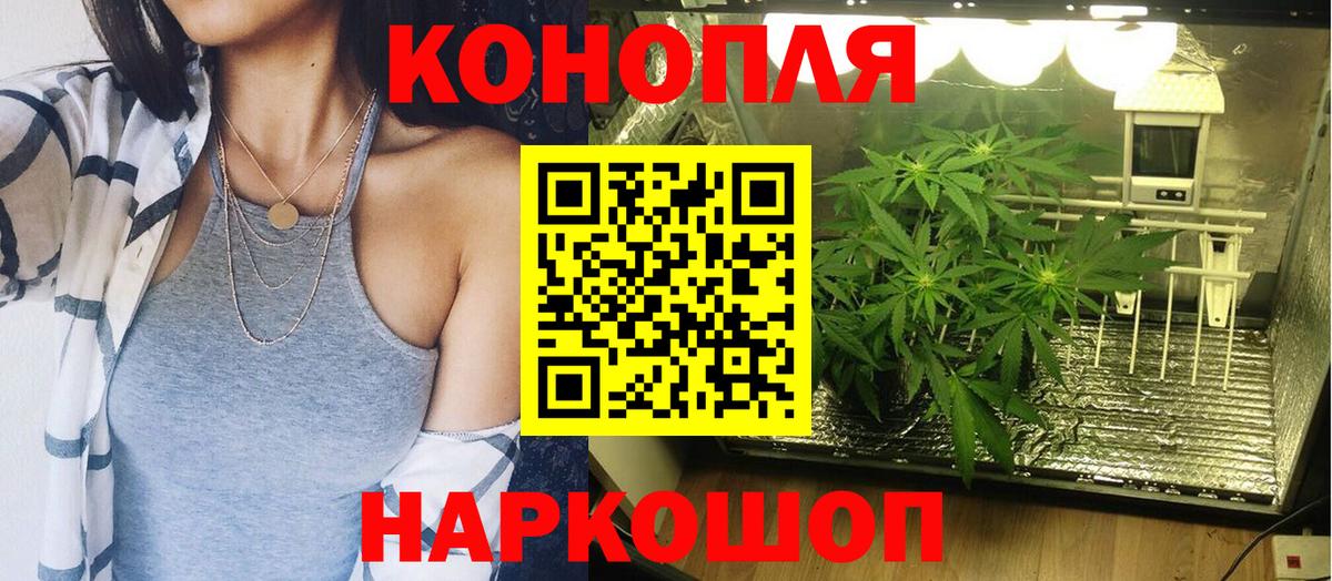 Конопля тримм  Конопля марихуана  МАРИХУАНА сатива  Елизово  Вход с VPN  Шишки марихуана MAZAR 